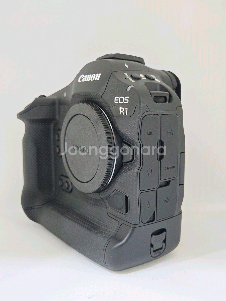 캐논 EOS R1--1