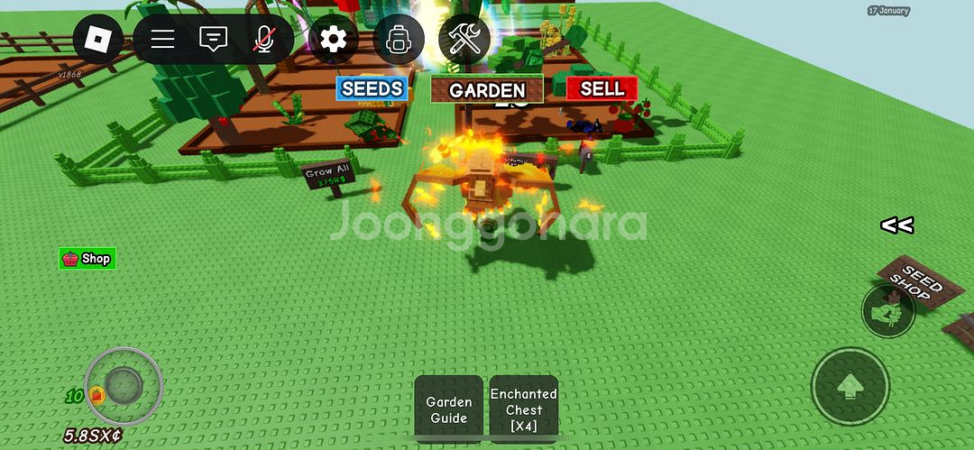 피닉스재고12--0