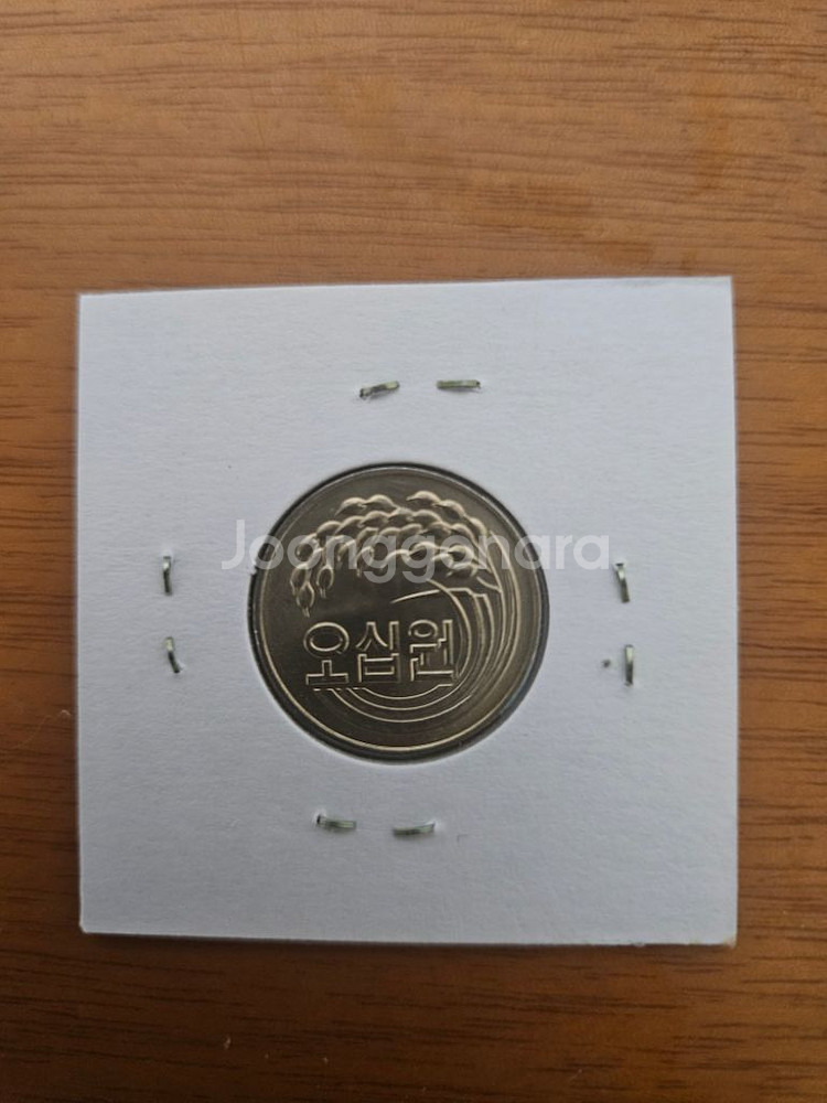 1981년50원 주화--1
