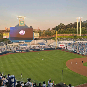 9월 13일 삼성 라이온즈 3루 SKY 1석 양도!!