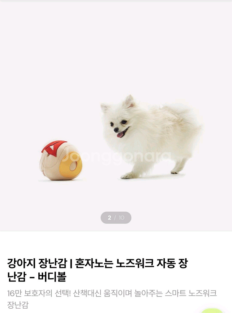 버디부 장남감 + 커버--0