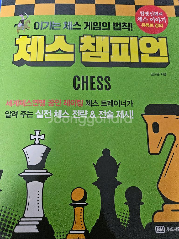 체스 챔피언--0