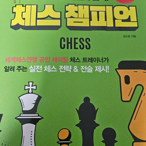 체스 챔피언