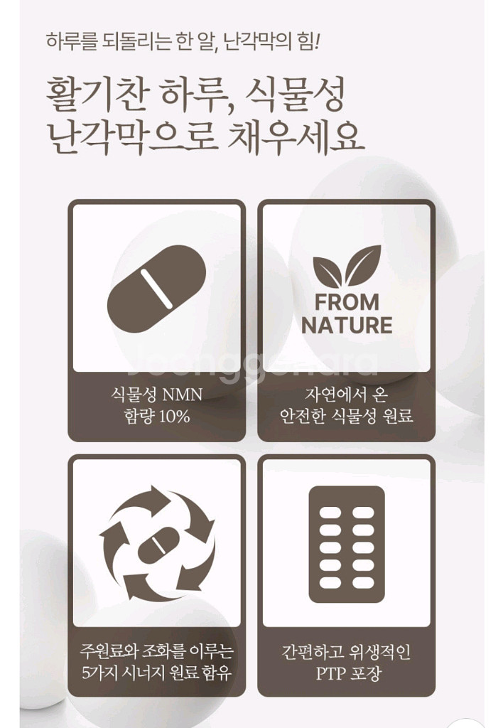 난각막가수분해물--3