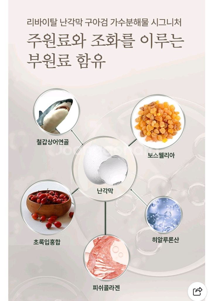 난각막가수분해물--7