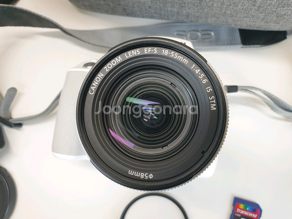 캐논 EOS 200DII DSLR 카메라(택포)--5