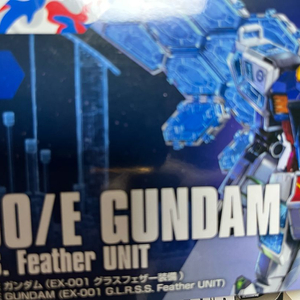 건담 엑스포 글래스 페더