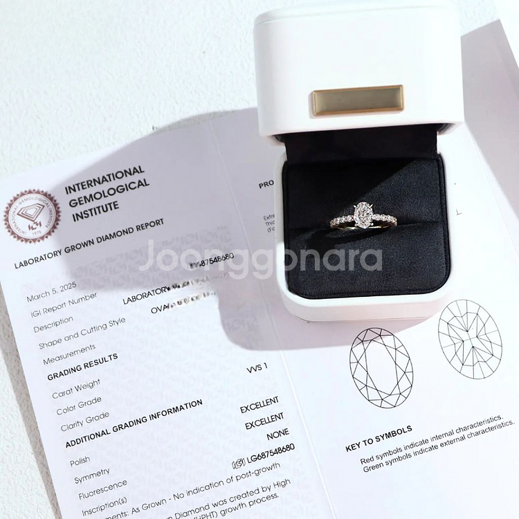 럭셔리 14K 금 랩그로운 다이아몬드 웨딩&엔게이지먼--3