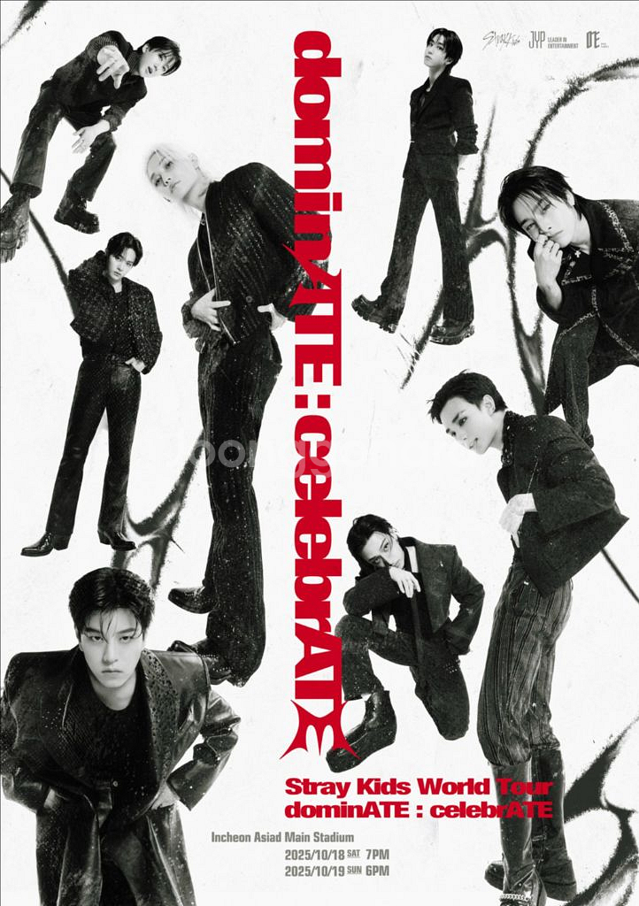 스키즈 콘서트 선예매 대리 댈티 해 드립니다--0