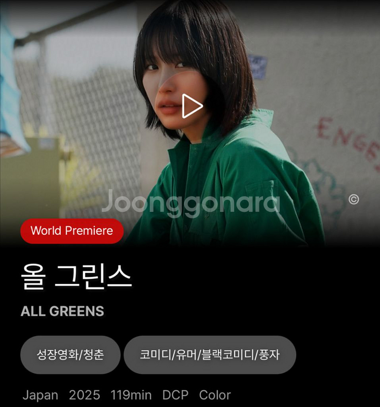 부국제 096 부고니아 <-> 213 올그린스--0