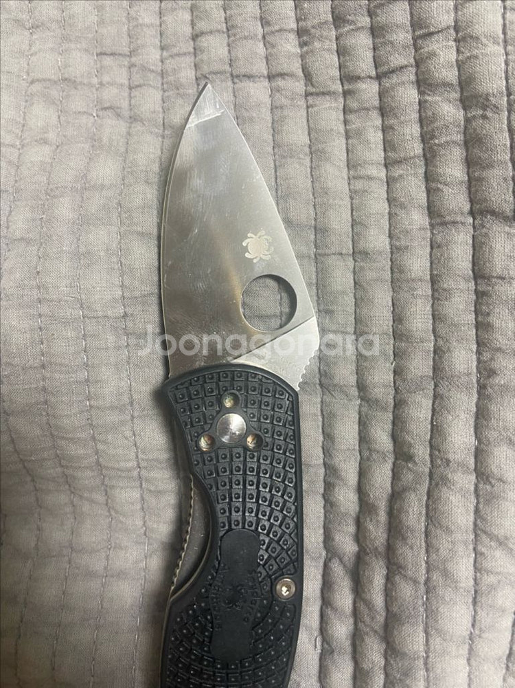 스파이더코 앰비셔스 팝니다--1