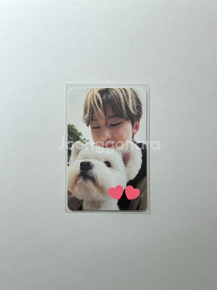 제로베이스원 제베원 정규 1집 앨범 디지팩 단체 레오--0