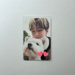 제로베이스원 제베원 정규 1집 앨범 디지팩 단체 레오