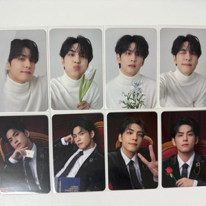 데이식스 원필 필모그래피 콜렉트북 포카 일괄