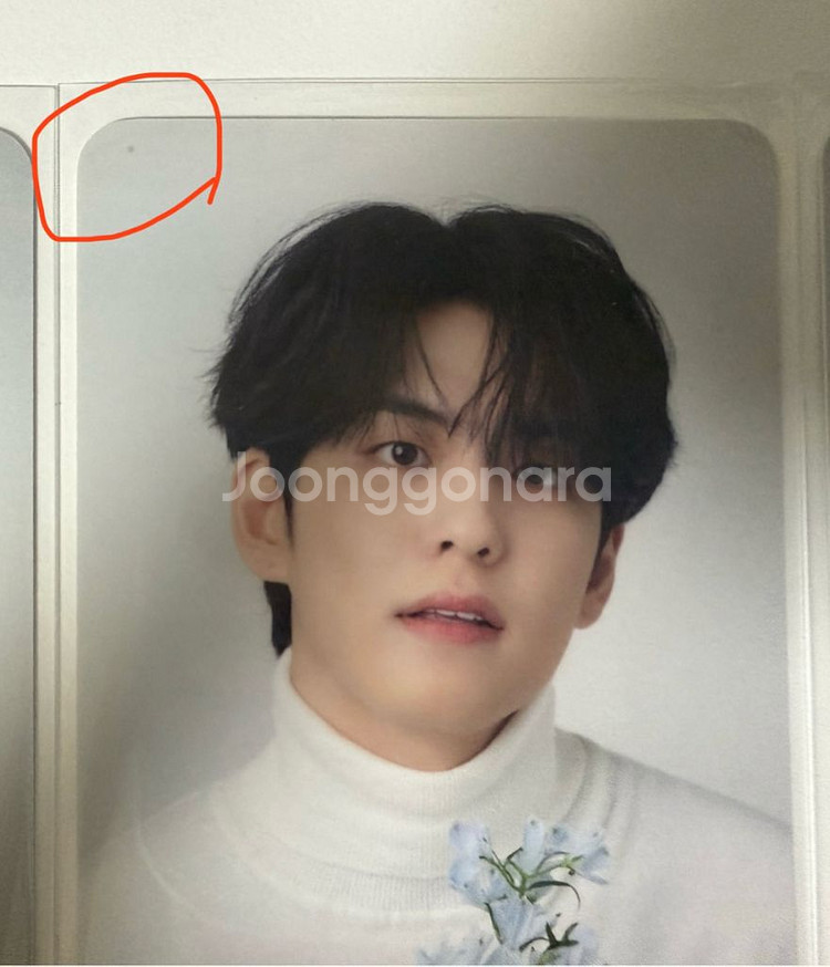 데이식스 원필 필모그래피 콜렉트북 포카 일괄--1