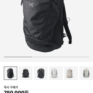 아크테릭스 멘티스 26 구형
