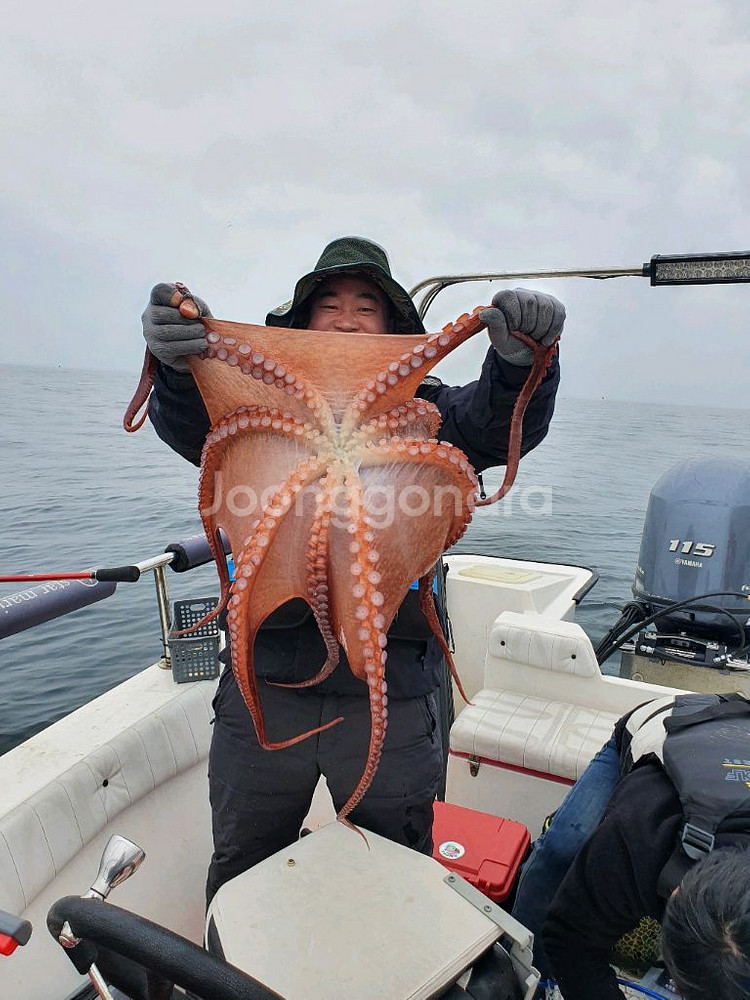 레저보트 낚시보트--1