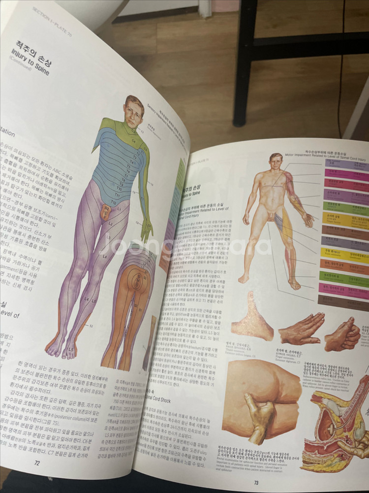 CIBA 도해의학백과 세트(의사,간호사,물치 추천)--3