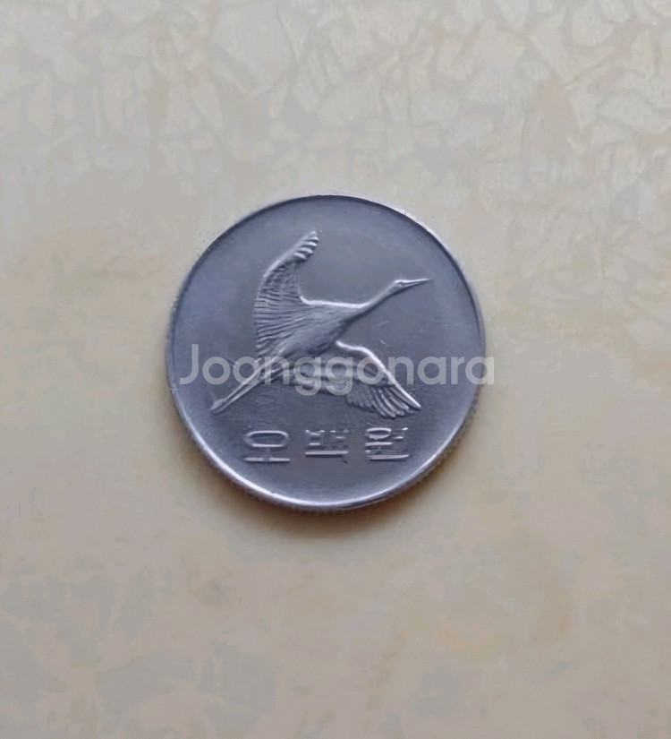 동전수집 1998년 500원 1981년 100원 구입합--5