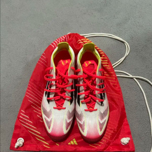 f50 엘리트 hg 255
