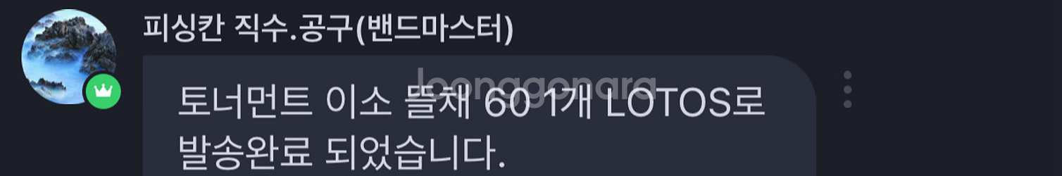 다이와 24 토너먼트 타마노에 60 뜰채--3