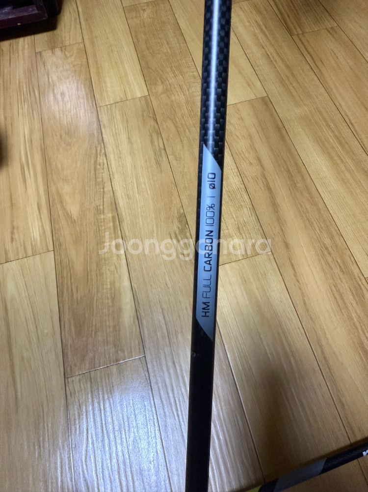 비스트 스키 167cm + 마스터즈 카본폴 110cm--8