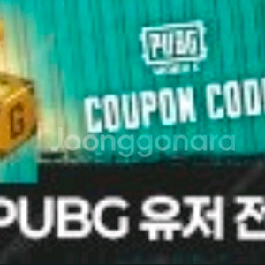 배그 나이트 스토커&g코인 쿠폰 판매합니다