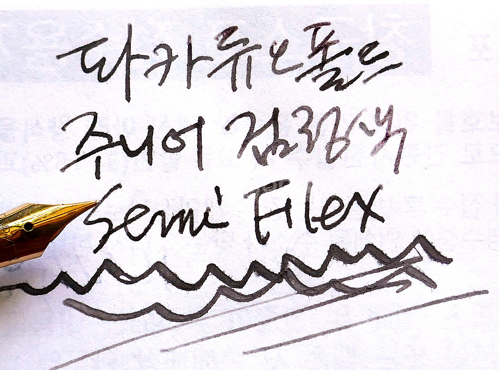 파카 듀오폴드 만년필 Jr. 검정- Semi Flex--8