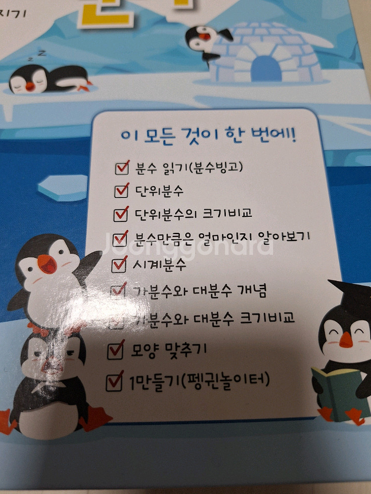 요리수분수--0