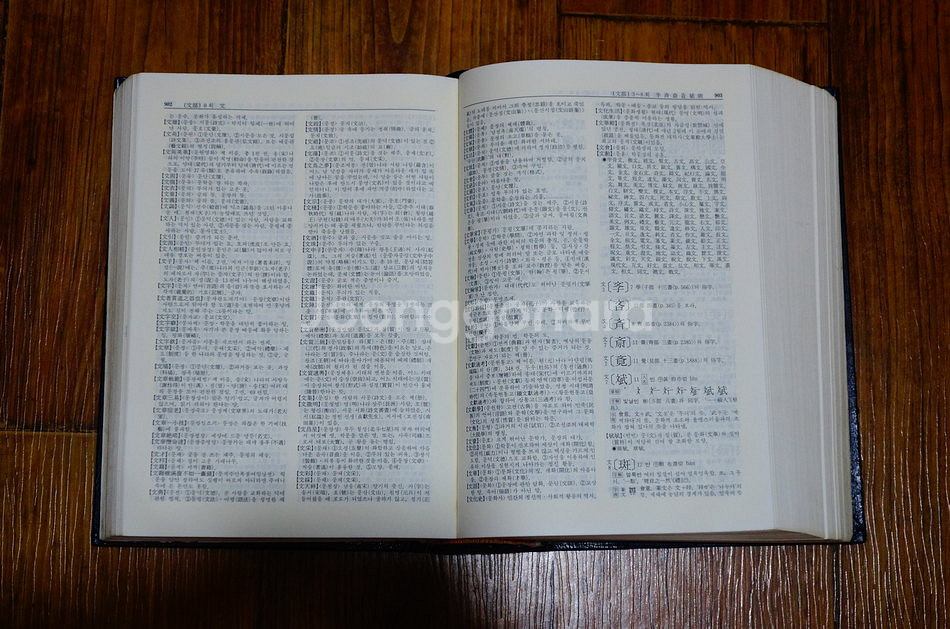 한한대자전 (민중서관)--5