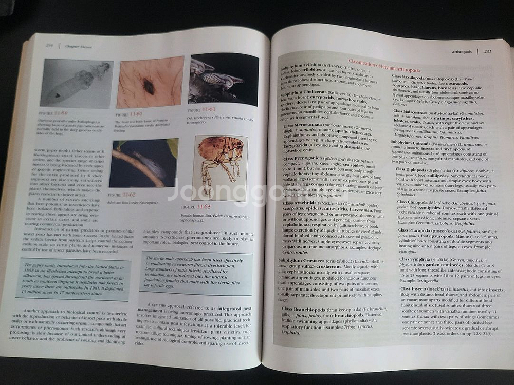 Animal Diversity 2판 원서--3