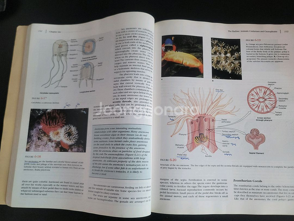 Animal Diversity 2판 원서--4