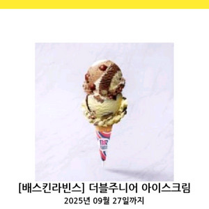 배스킨라빈스 더블주니어 팝니다
