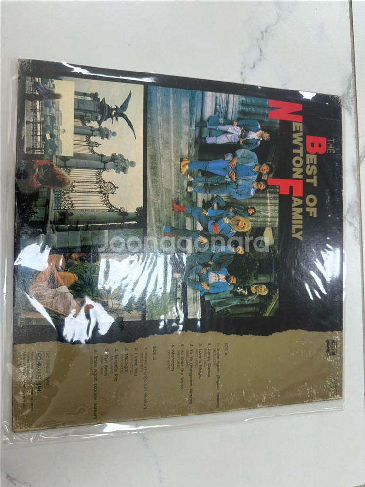 뉴튼 패밀리 - The Best Of LP 판매합니다--2