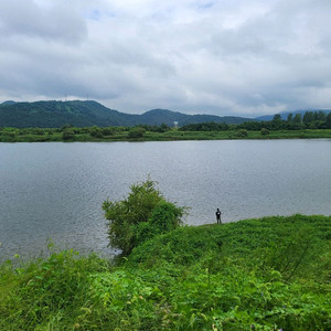 BMW F10 5시리즈 가로바삽니다