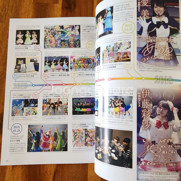 (일본 서적) 부시로드 15주년 기념 라이브 베루나 돔--6