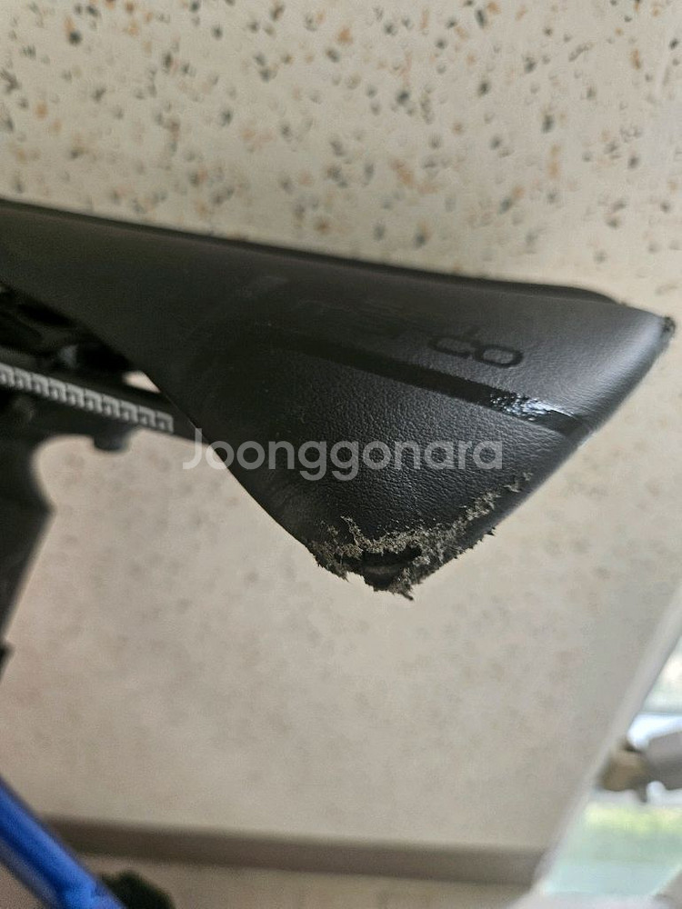 픽시 언노운 샤크--5