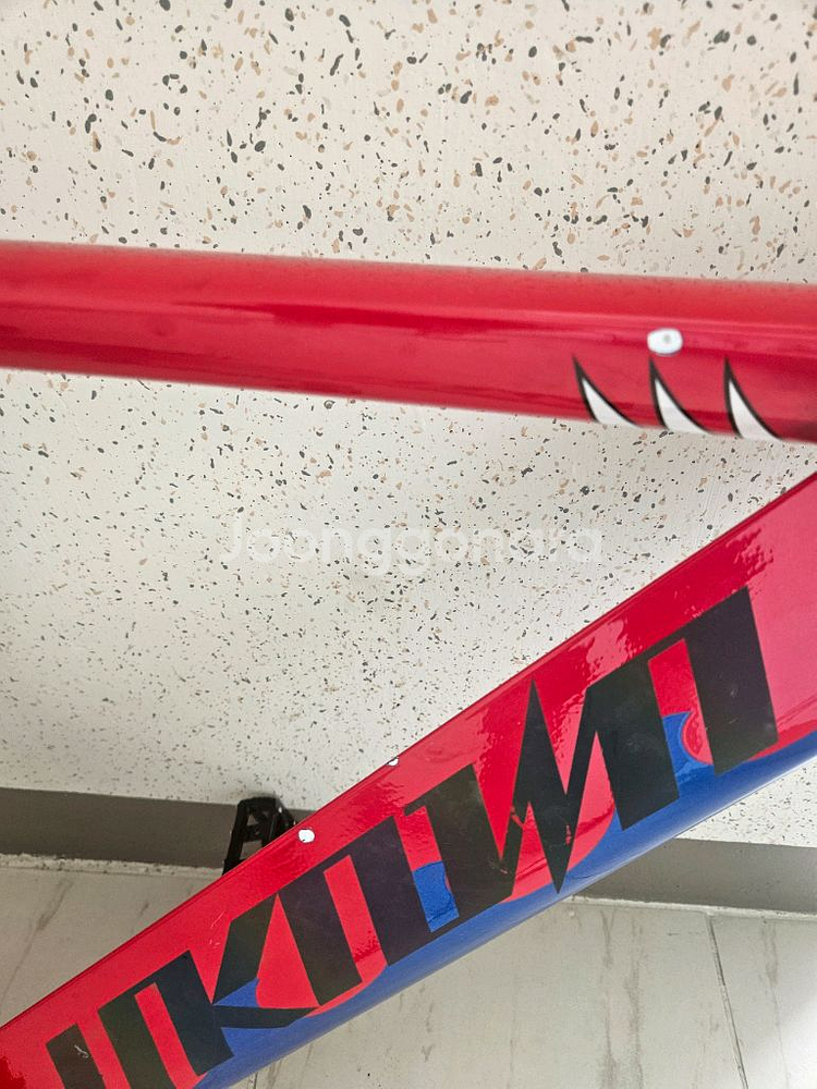 픽시 언노운 샤크--2