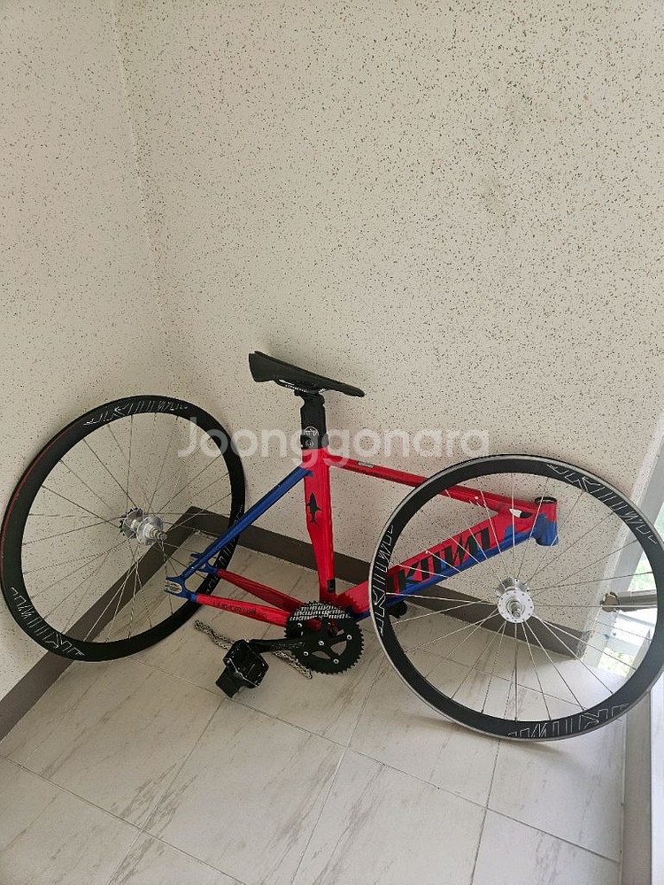 픽시 언노운 샤크--0