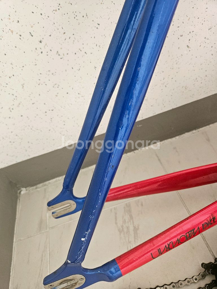 픽시 언노운 샤크--1