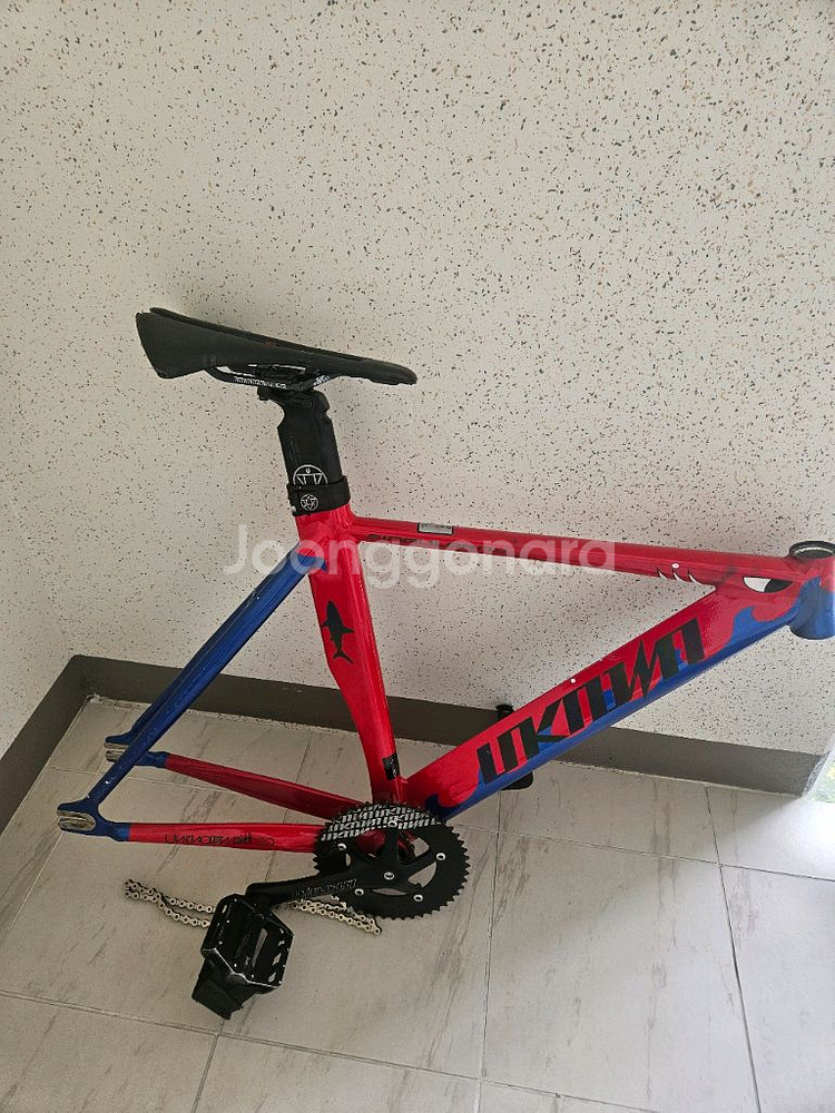 픽시 언노운 샤크--3