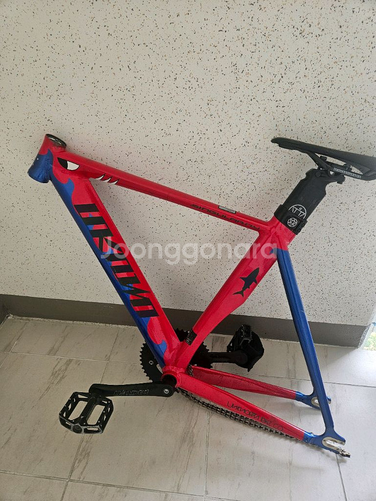 픽시 언노운 샤크--6