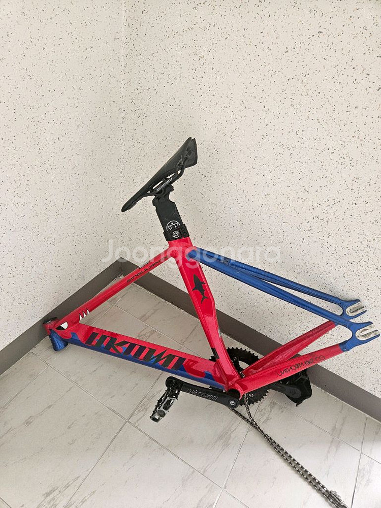 픽시 언노운 샤크--7