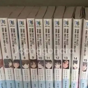 청춘돼지 라노벨,만화책 올초판