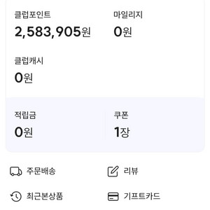 웅진 포인트