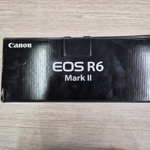 캐논 EOS R6 Mark II