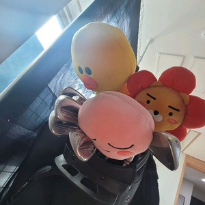 골프채 풀세트 여성용 PING gle2