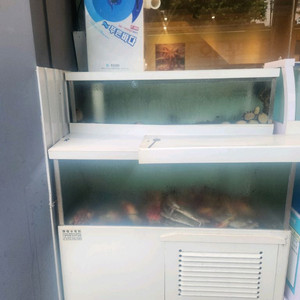 업소2단수족관 판매맘니다