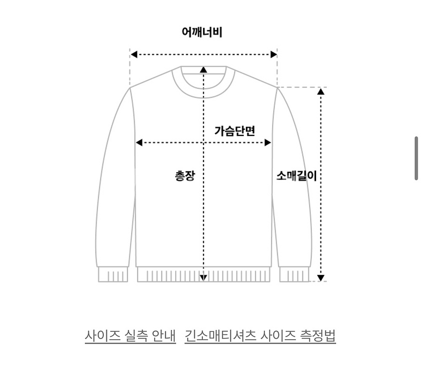 트래블 미시간 울버린 피그먼트 후드티 블랙 차콜--2