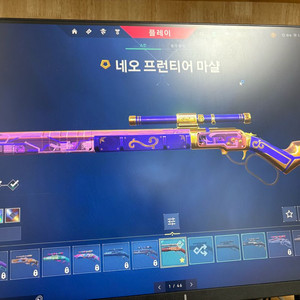 발로란트 챔스2022 세트 티어 전 불멸 스킨 많아요.